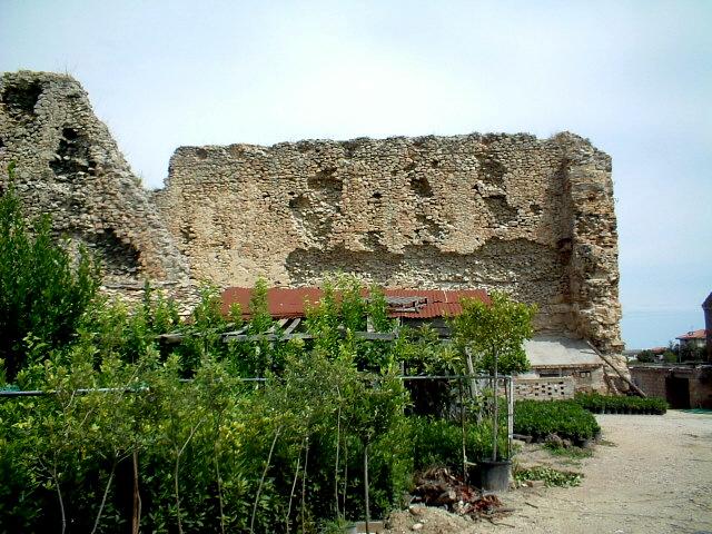 Archeologia a Cupra marittima (Marche)